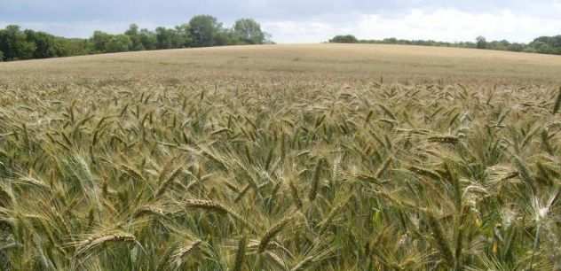 Azienda Agricola 30 km a Ovest di MI