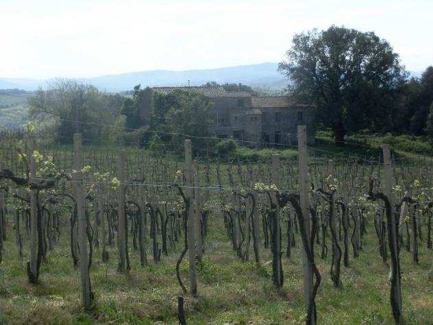 Azienda agricola in vendita a San Gimignano 2090000 mq Rif 638396