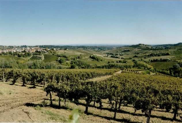 Azienda Agricola - Nizza Monferrato