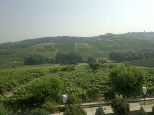 Azienda Moscato - Nizza M.to