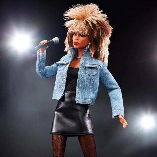 Barbie - Bambola Barbie Tina Turner - Barbie Signature Doll - Mattel - 2010-2020