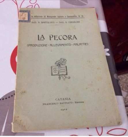 Bartolucci.LA PECORA (PRODUZIONE - ALLEVAMENTO - MALATTIE) 1912