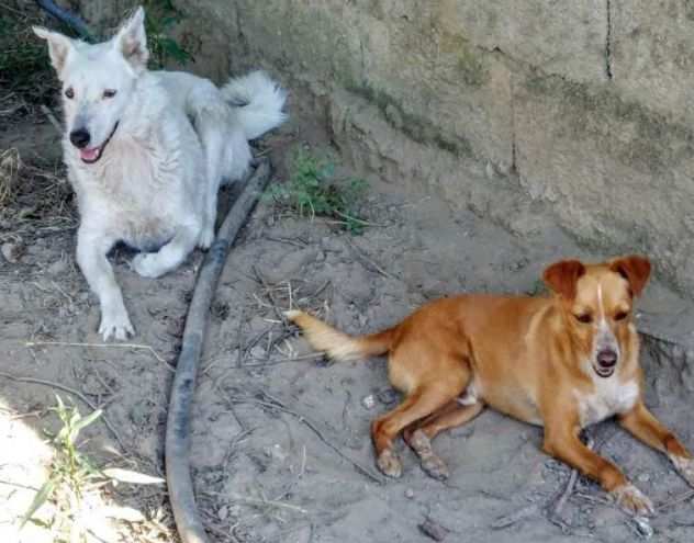 BEA E CIRO, AMICI INSEPARABILI