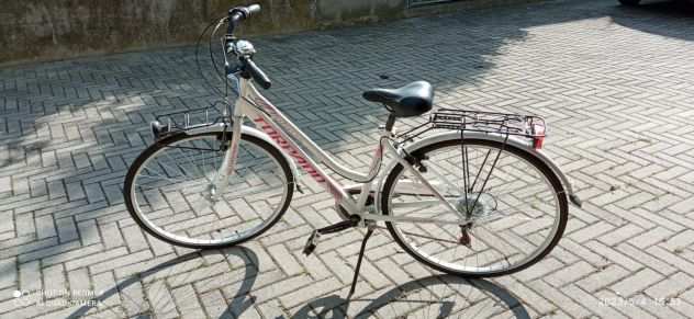 Bellissima bicicletta da donna