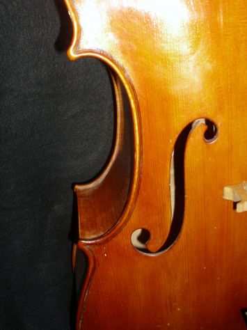Bellissimo violoncello boemo, Karel Vavra