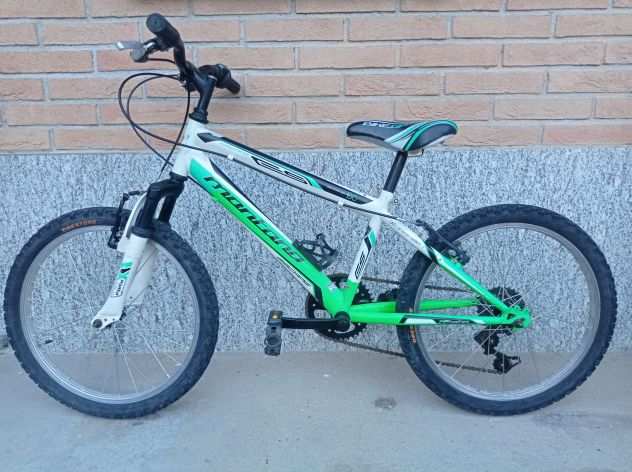 Bici 20 Montana