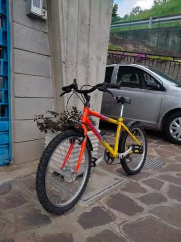 BICI ATALA ROCKI 20quot BIMBOA