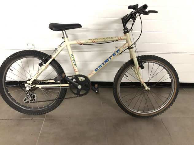 Bici Bicicletta MTB 20 bimbo bambino 6 velocitagrave