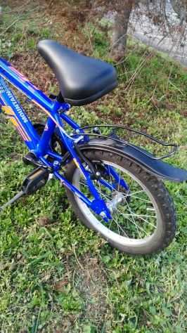 Bici Bimbo Sport Specialist DF Misura 16