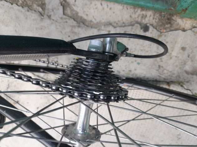 Bici carbonio