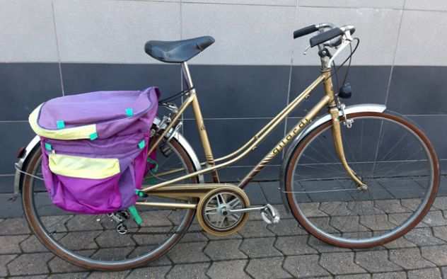 Bici Gilardi 26quot con borsa da viaggio, pompa e luchetto antifurto