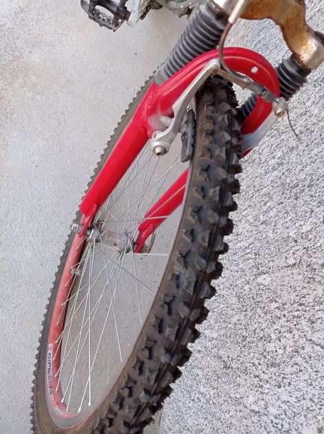 Bici MTB