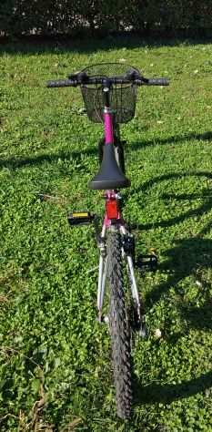 Bici MTB Bianchi Ragazza