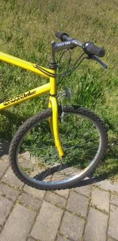 Bici MTB Longoni