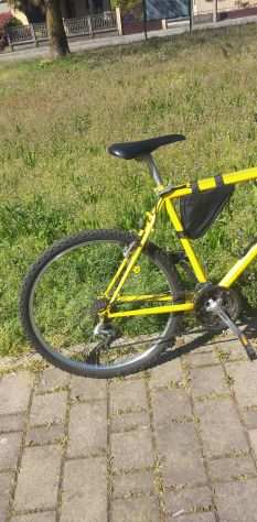 Bici MTB Longoni