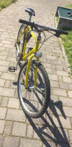 Bici MTB Longoni