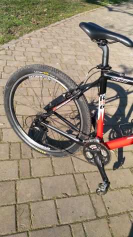 Bici MTB OLMO