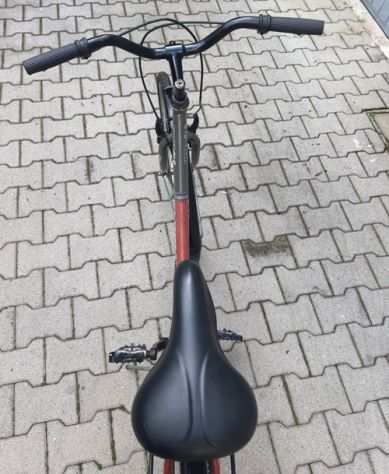 Bici Olanda 26