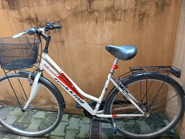 Bicicletta bianca