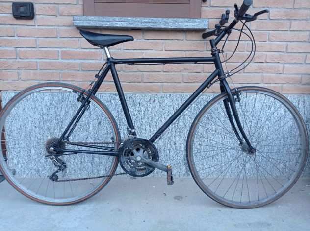 Bicicletta cittagrave