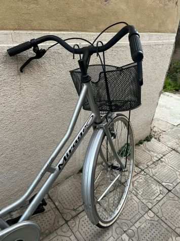Bicicletta city bike grigia donna