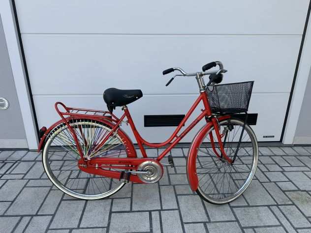 Bicicletta con freni a bacchetta rossa