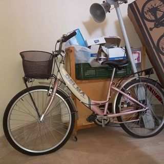 Bicicletta da Donna