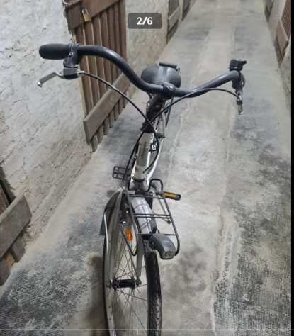 Bicicletta da donna