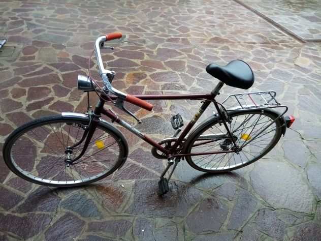 Bicicletta da uomo