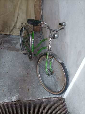 Bicicletta donna