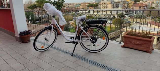 Bicicletta Elettrica