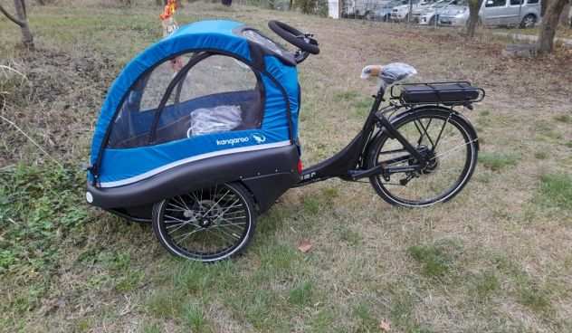 Bicicletta elettrica cargobikes
