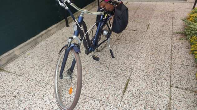 Bicicletta elettrica con pedalata assistita