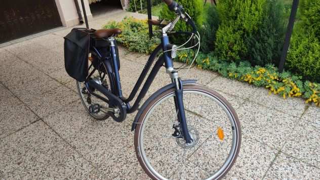 Bicicletta elettrica con pedalata assistita