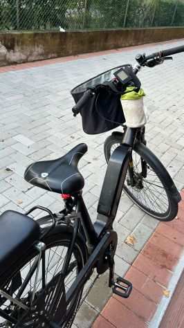 Bicicletta elettrica da donna con 2 batterie