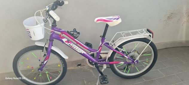 Bicicletta Faram 20rsquo