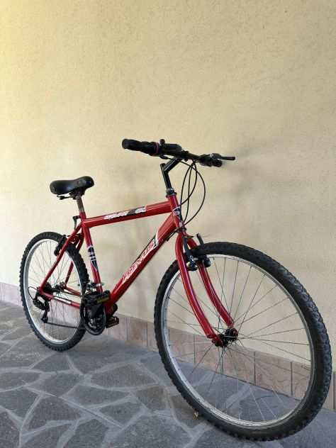 Bicicletta Freyus nuovo