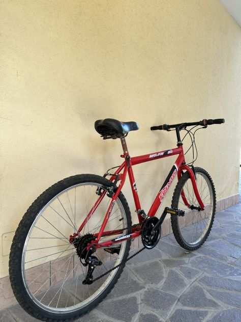 Bicicletta Freyus nuovo