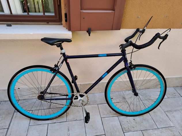 Bicicletta Monomarica