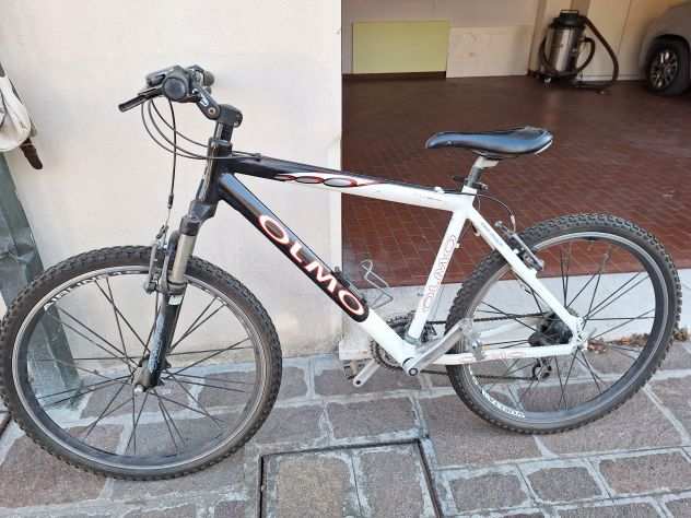 bicicletta mountain bike