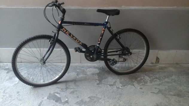 Bicicletta Mountain Bike cerchio 24 mancano i copertoni