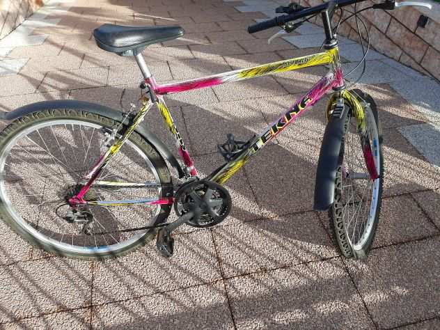 bicicletta mtb uomo