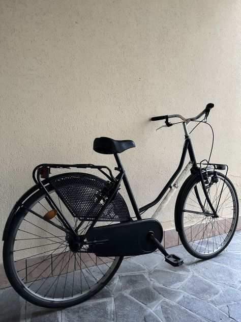 Bicicletta Olandesina