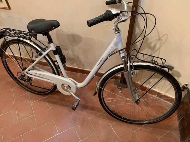 Bicicletta Scarpelli