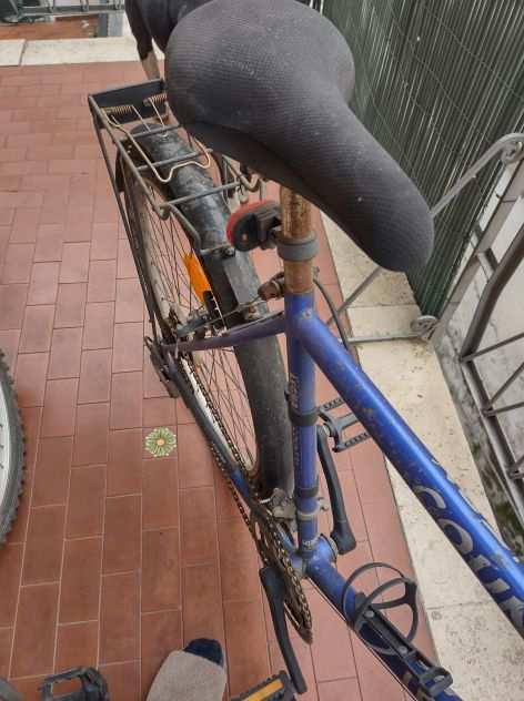 Bicicletta uomo