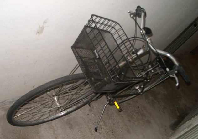 Bicicletta Vicini