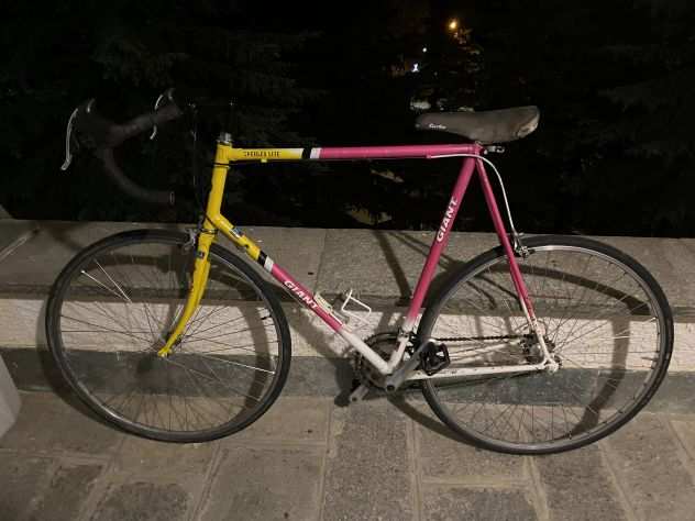 Bicicletta vintage