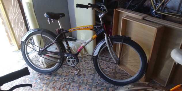 biciclette cruiser