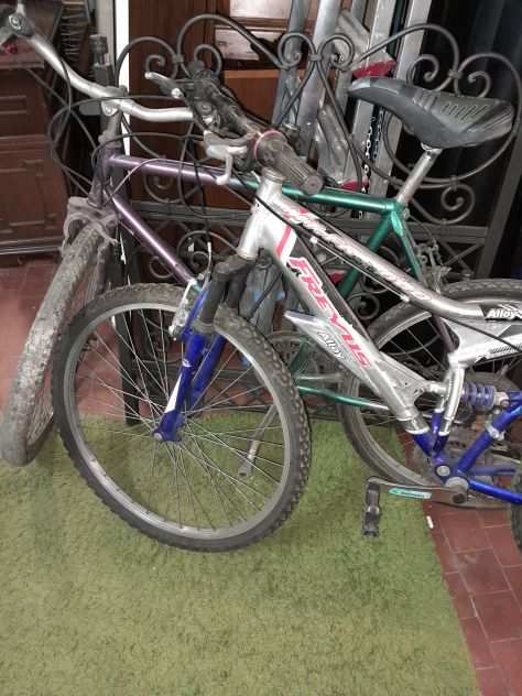 Biciclette MTB 26