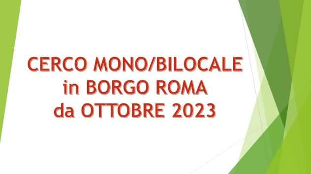 BilocaleMonolocale in Borgo Roma  599 